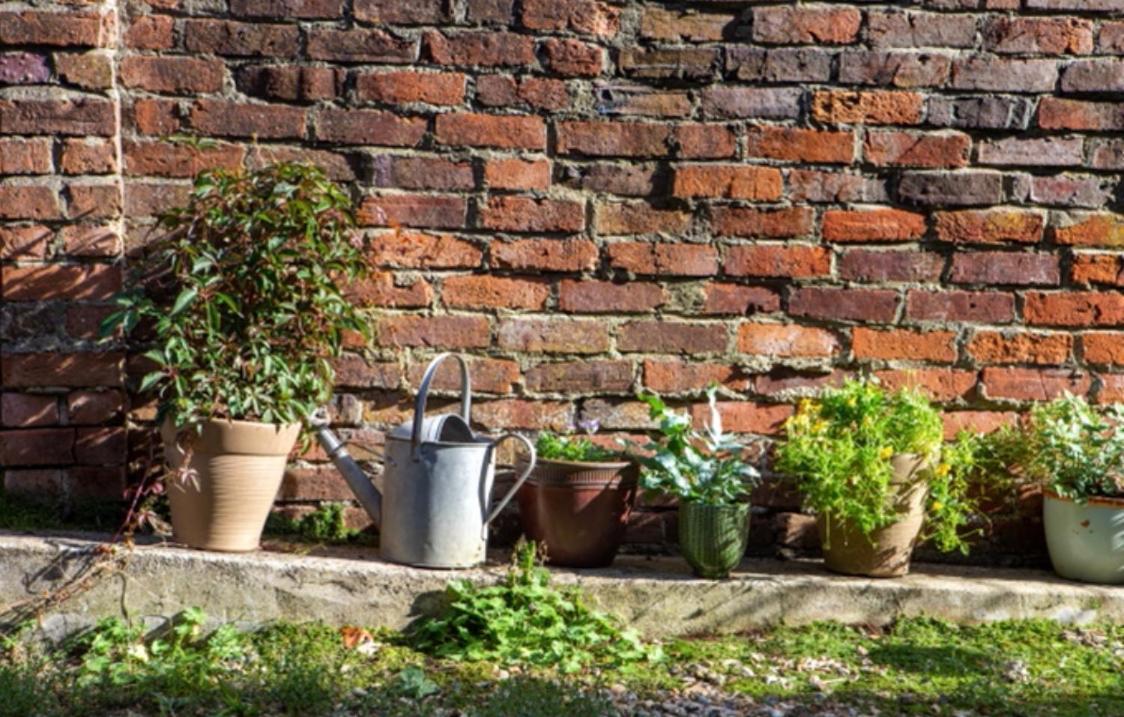Bridport Garden Suite Exterior foto
